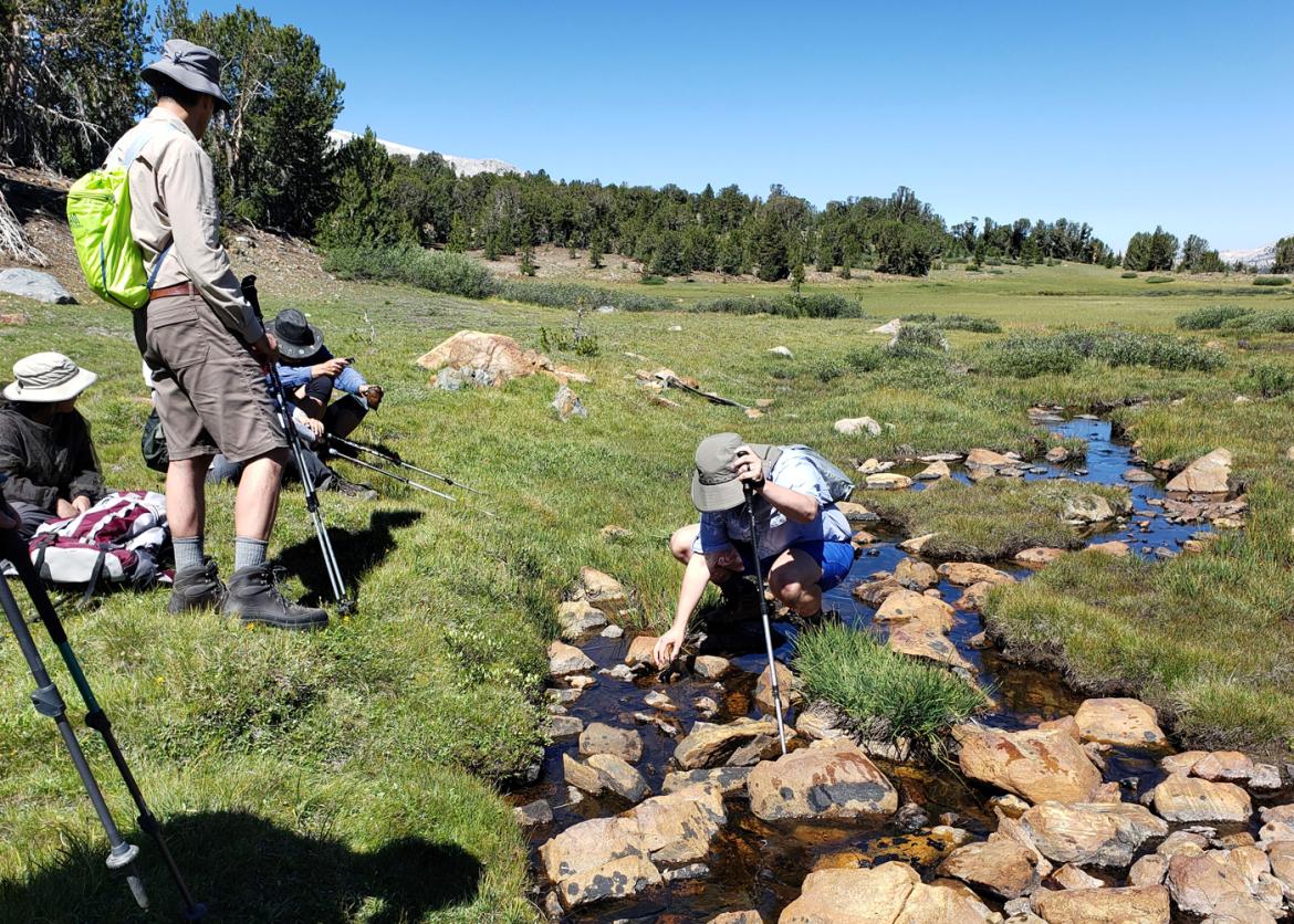 Hikers rest on a grassy creek bank and inspect the running water.