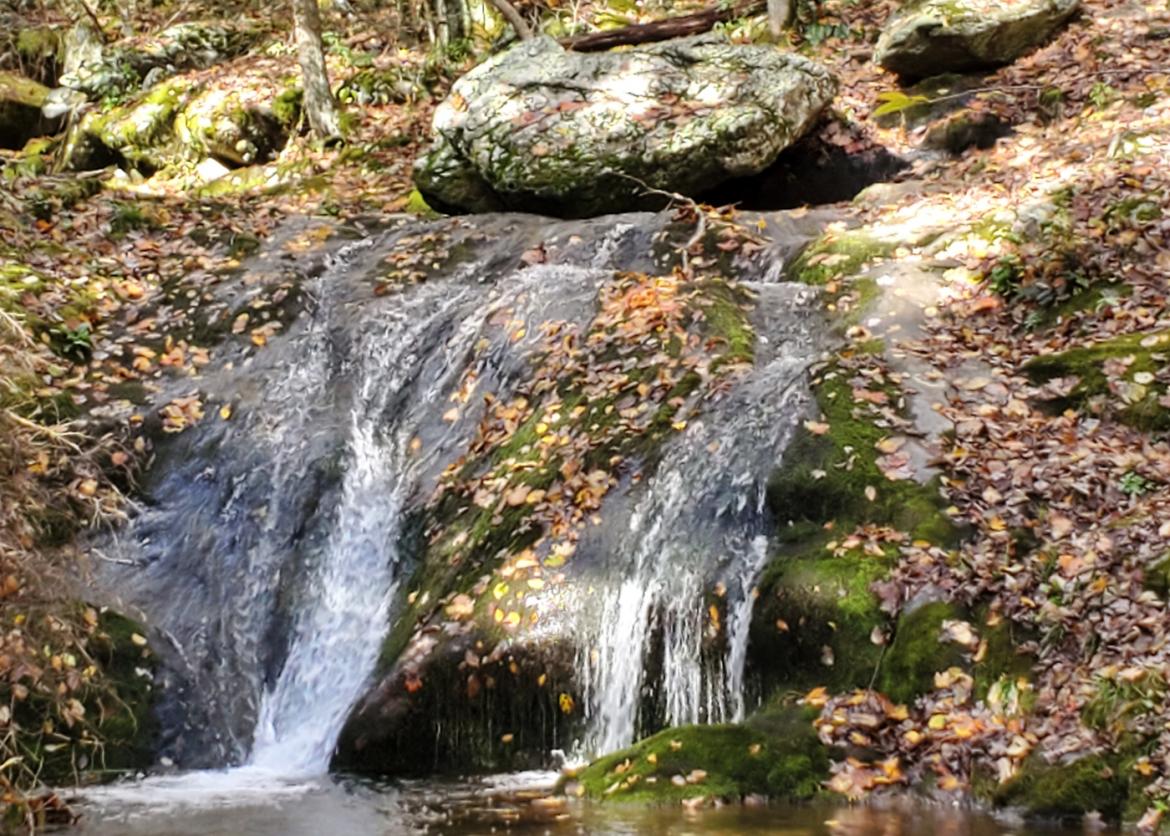 Water cascading over mossy rock.