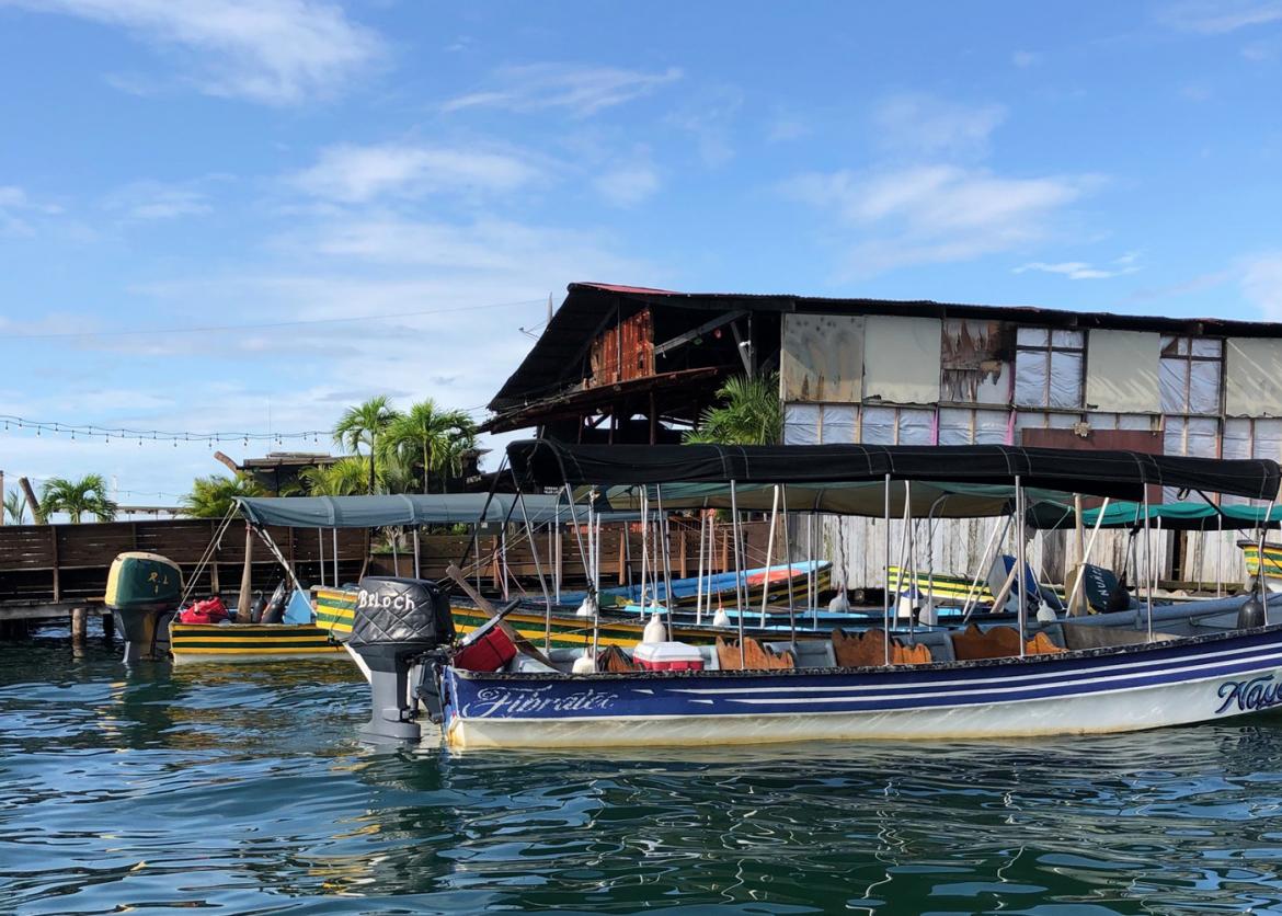 One-Week Active Marine Adventure in Bocas del Toro Archipelago, Panama