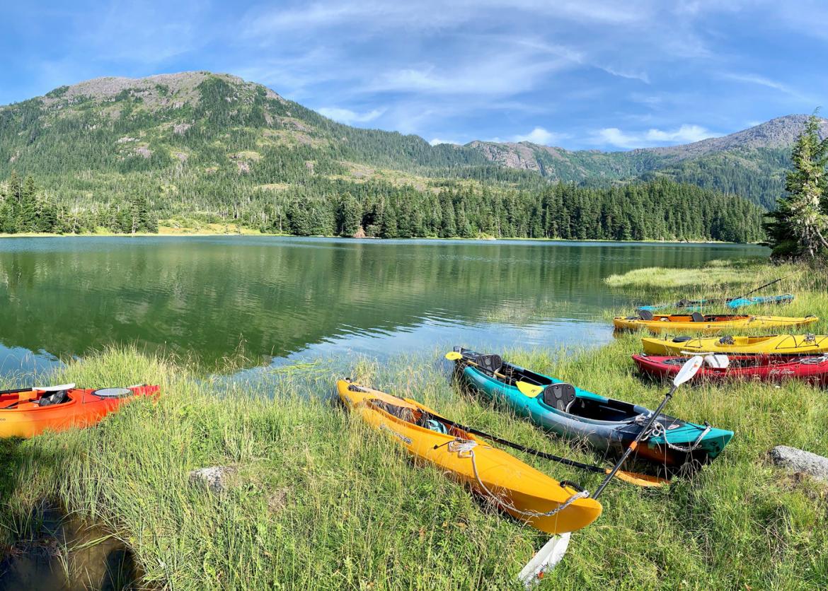 Seven kayaks rest on a grassy shore.