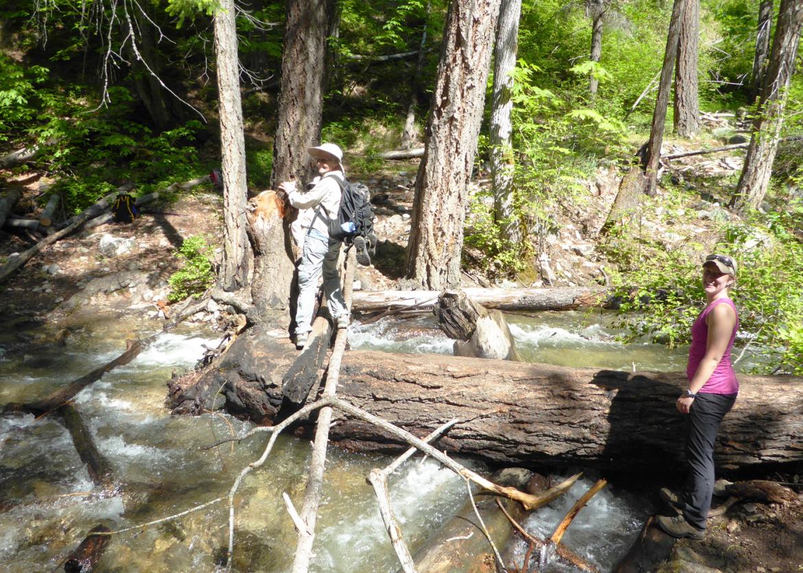 A person stands on the base of a toppled tree in the middle of a stream. A woman stands to the side of the tree, smiling.