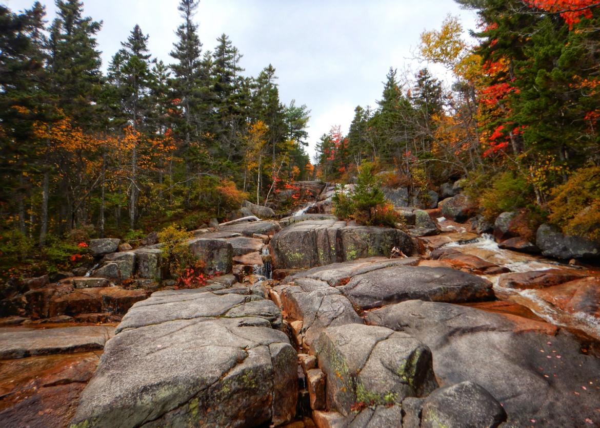 Rocks with trees and trails upward.