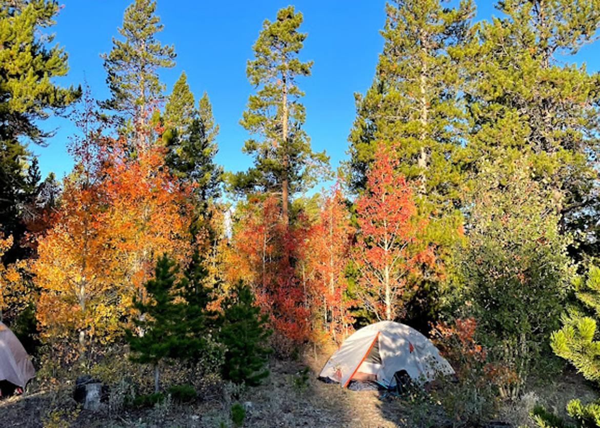 Tents set in the middle of the colorful woods