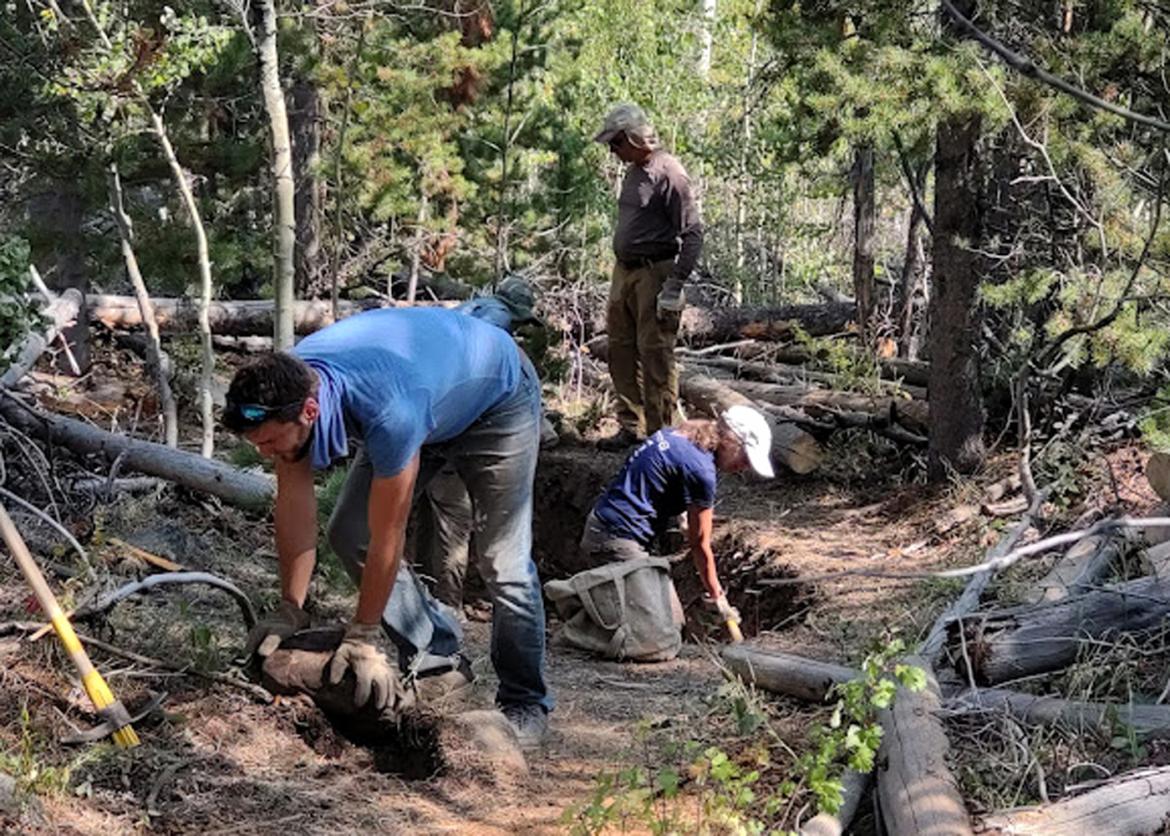 A group of people working with logs, rocks, etc.