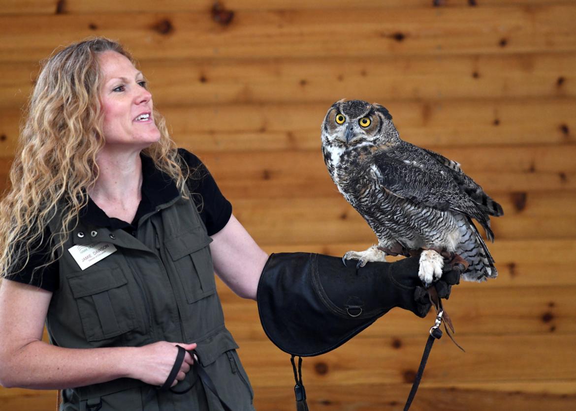 A woman wearing a thick leather glove holds up a perched owl.