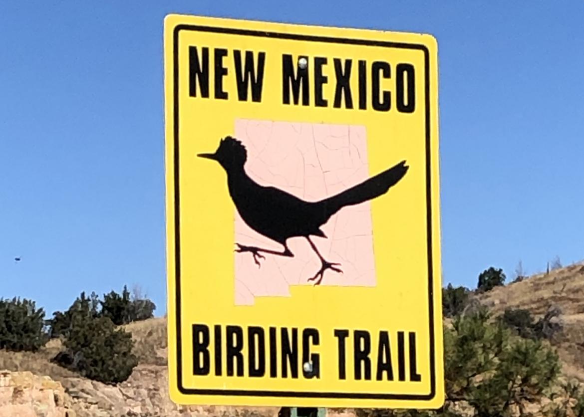 A yellow "New Mexico Birding Trail" sign with a black silhouette of a bird