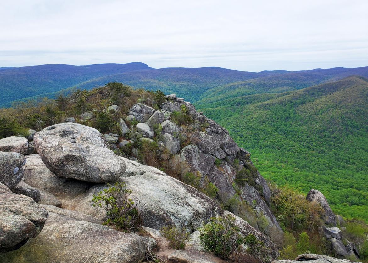 Shenandoah National Park: History, Trails, and Wildflowers, Virginia