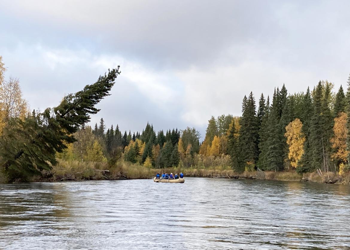 Participants float in an inflatable raft surrounded by trees. A large evergreen lists at a steep angle over the water.
