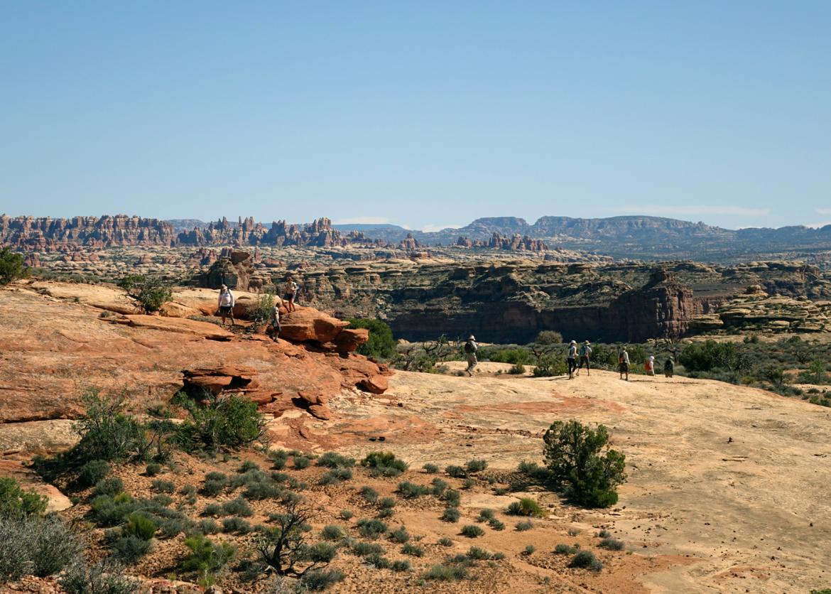 Hikers walking through red dirt and shrubland with a view of the top of canyons.