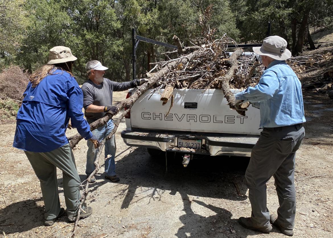 Three people in sun hats pushing tree trunks and branches in the back of the truck
