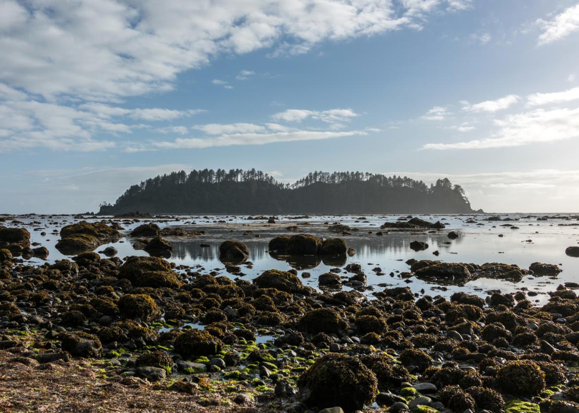 A scenic view of a rocky shore and a distant island.