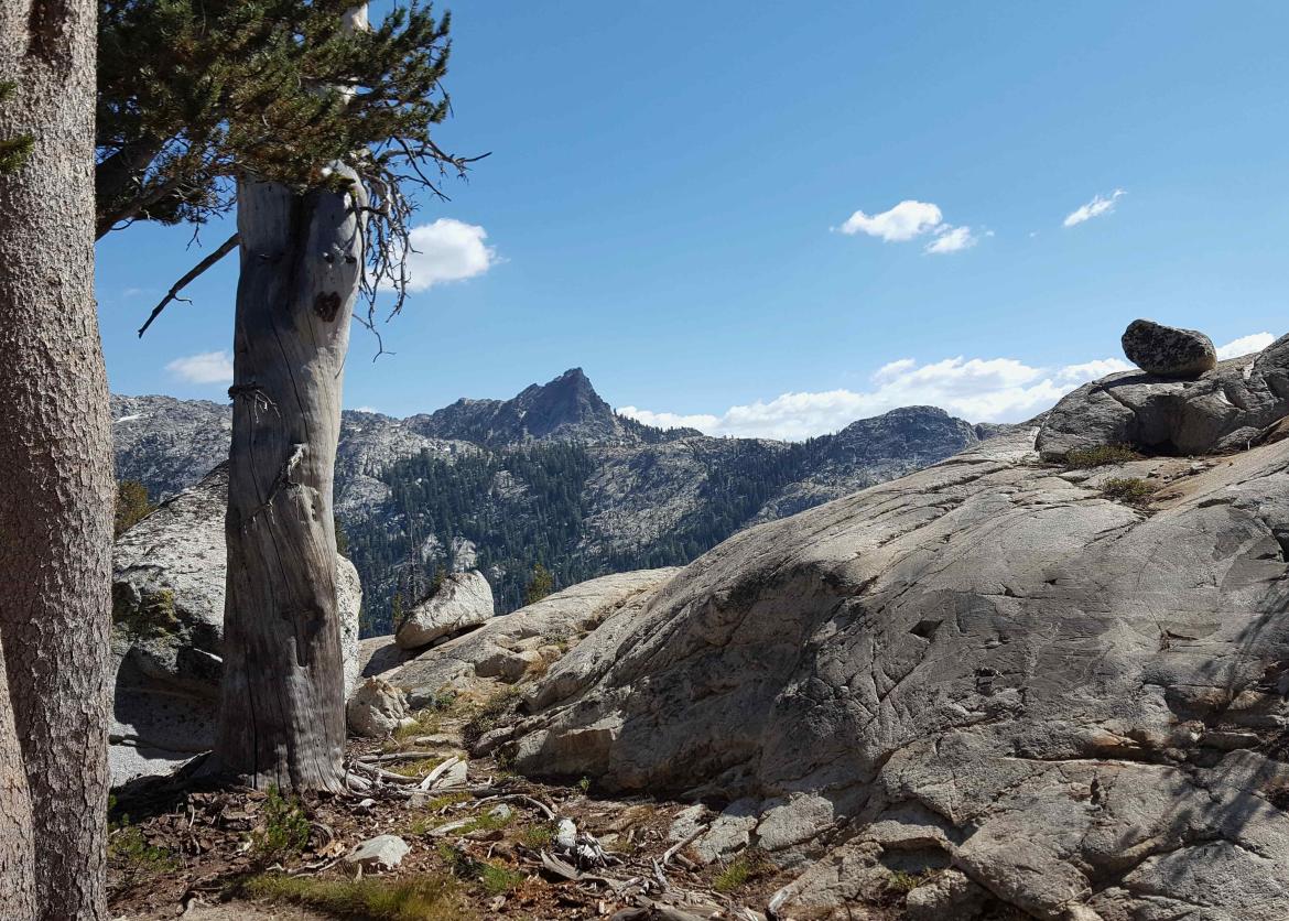 Exploring the Remote Northern Yosemite Backcountry, California