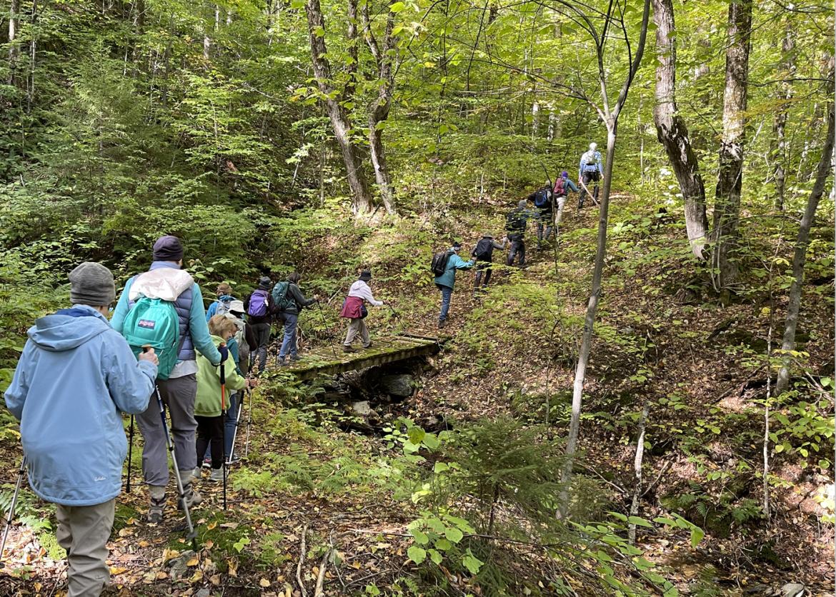 Trip participants on a hike in a Vermont forest.