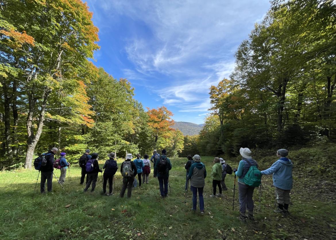 Trip participants on a hike in a Vermont forest.