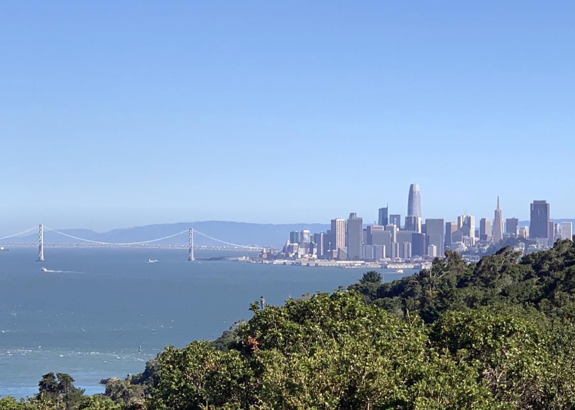 Uncover the Natural Wonders of Spring in the San Francisco Bay Area, California