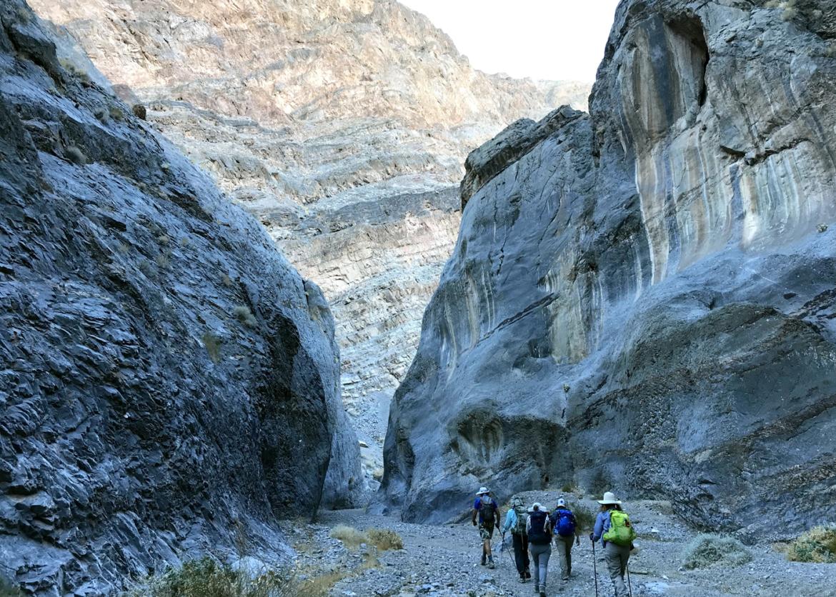 Five hikers walking in the bottom of a towering canyon.