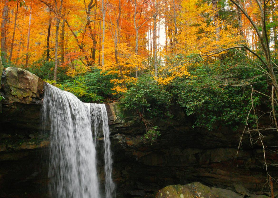 A waterfall in an autumn forest.