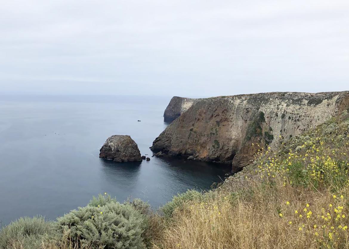 Coastal cliffs plunge into the ocean, Santa Cruz Island, California