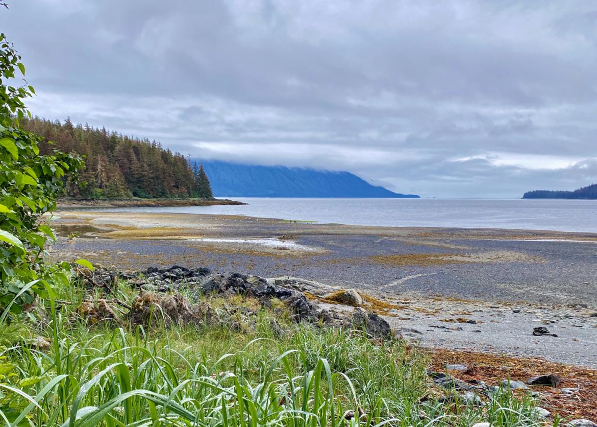 A view of a pebbled beach, a forested coast, far away hills, under a grey and cloudy sky.