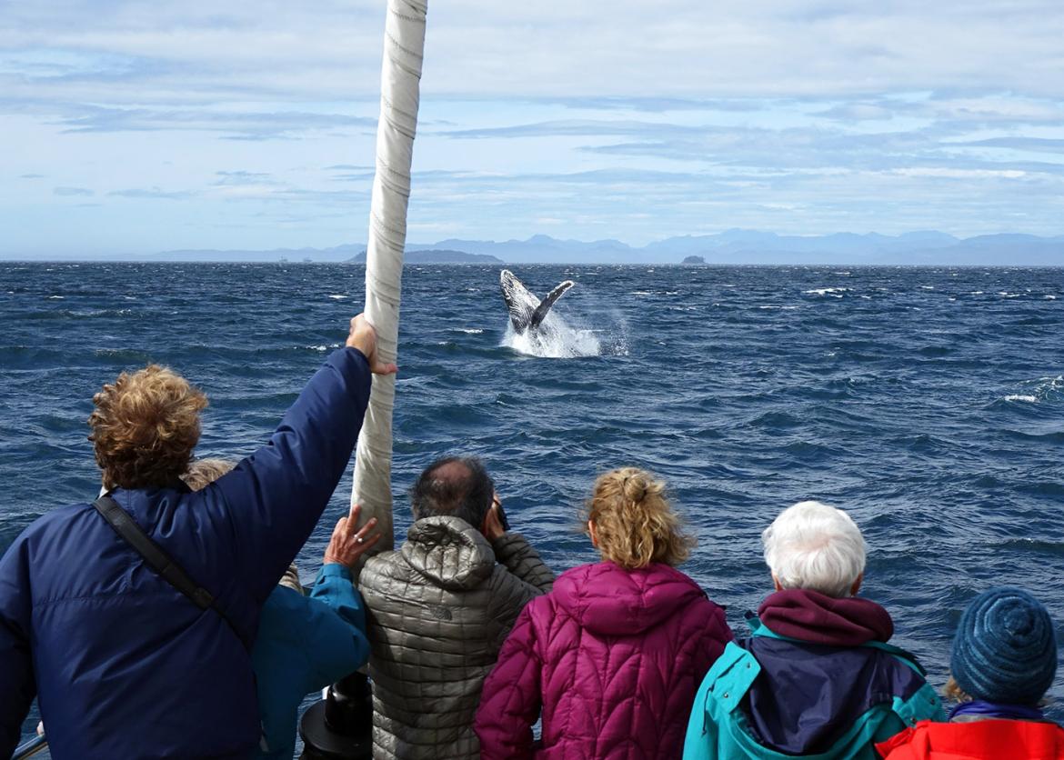 Boat passengers face a whale breaching the water.
