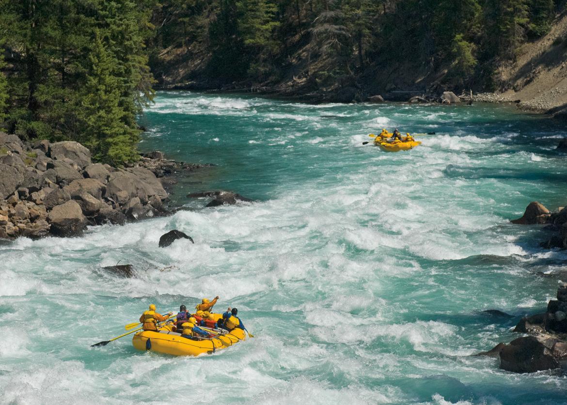 People white water rafting on a river with evergreen trees on either side