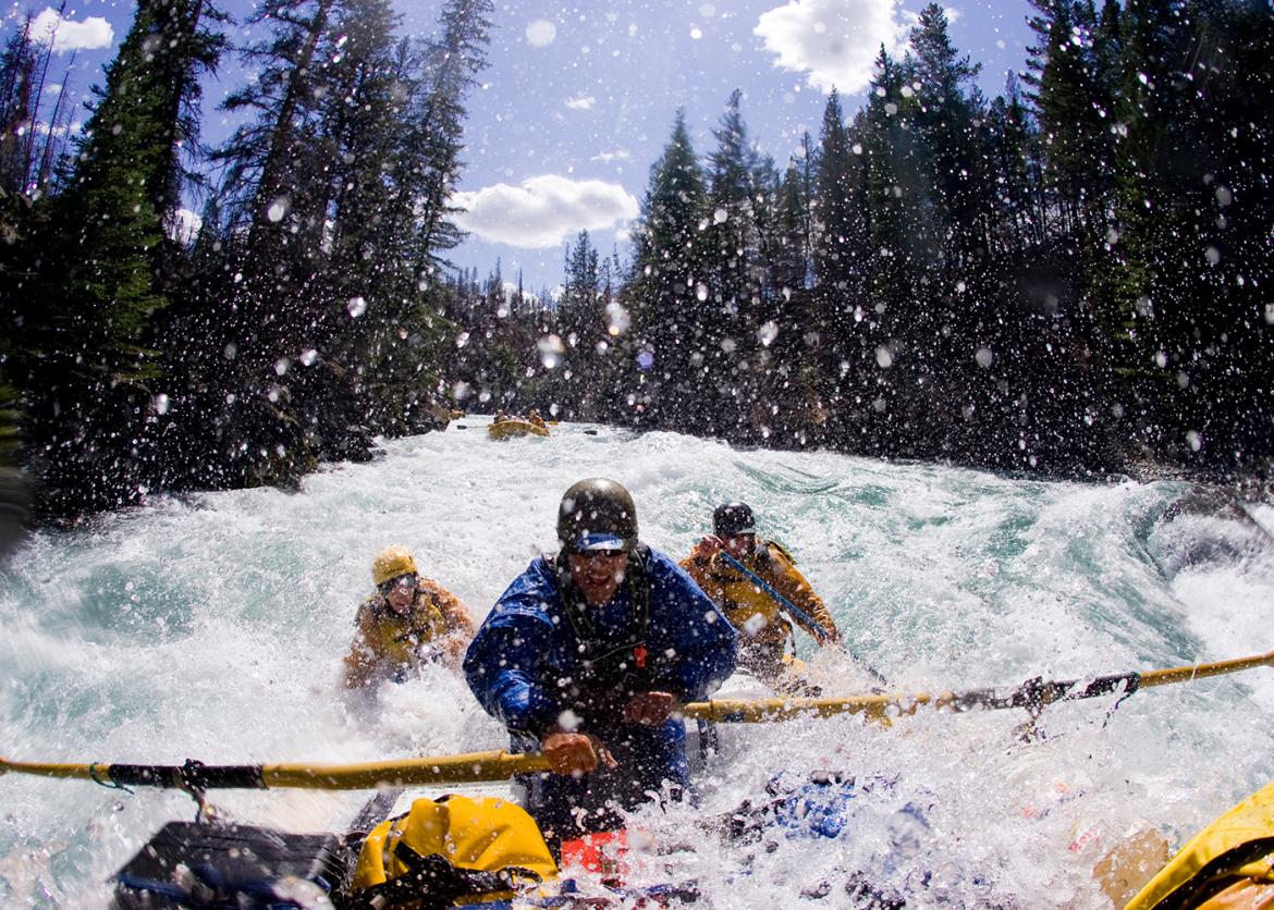 People white water rafting on a river with evergreen trees on either side