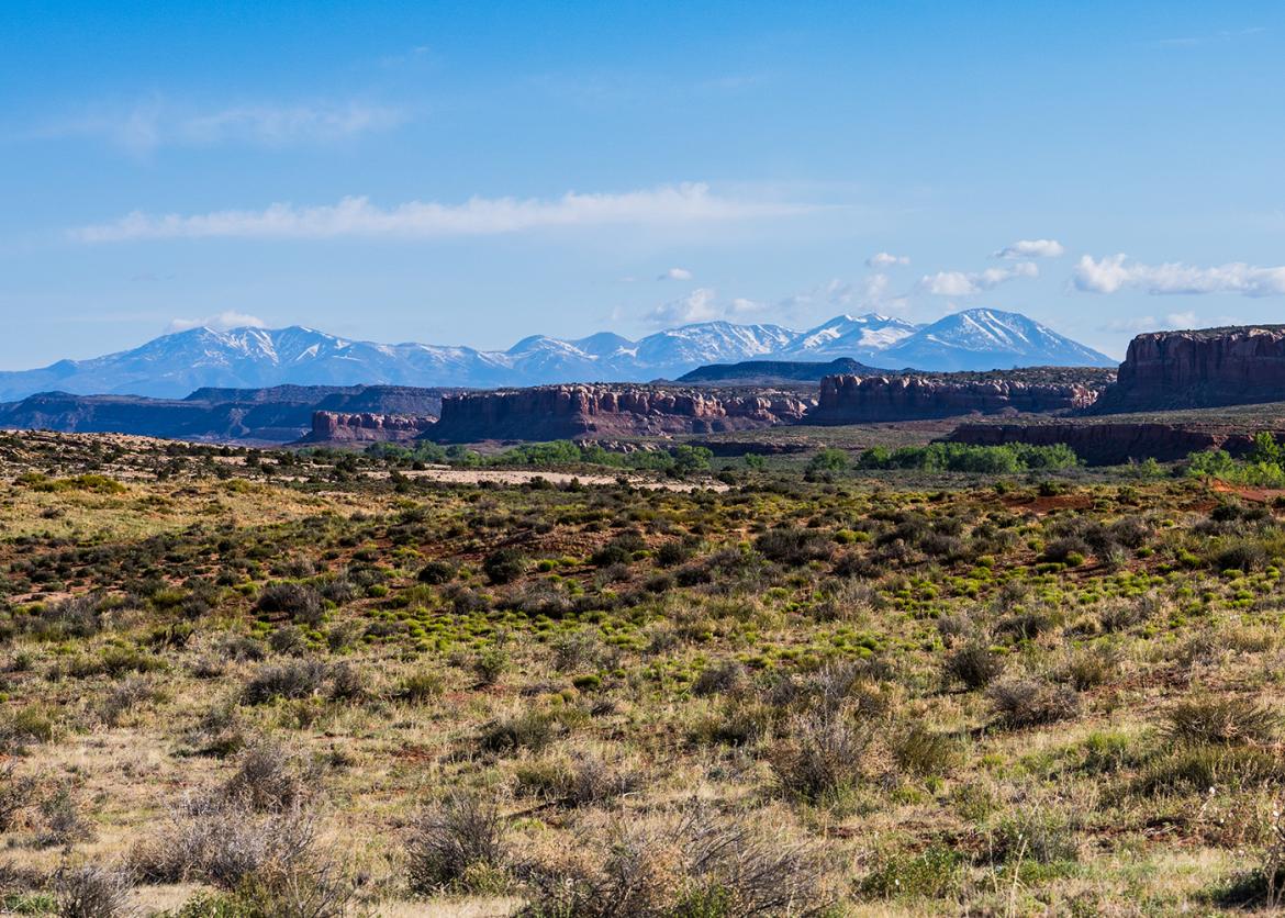 Sprawling landscape of scrub brush, plateaus and canyons, and mountains in the background.