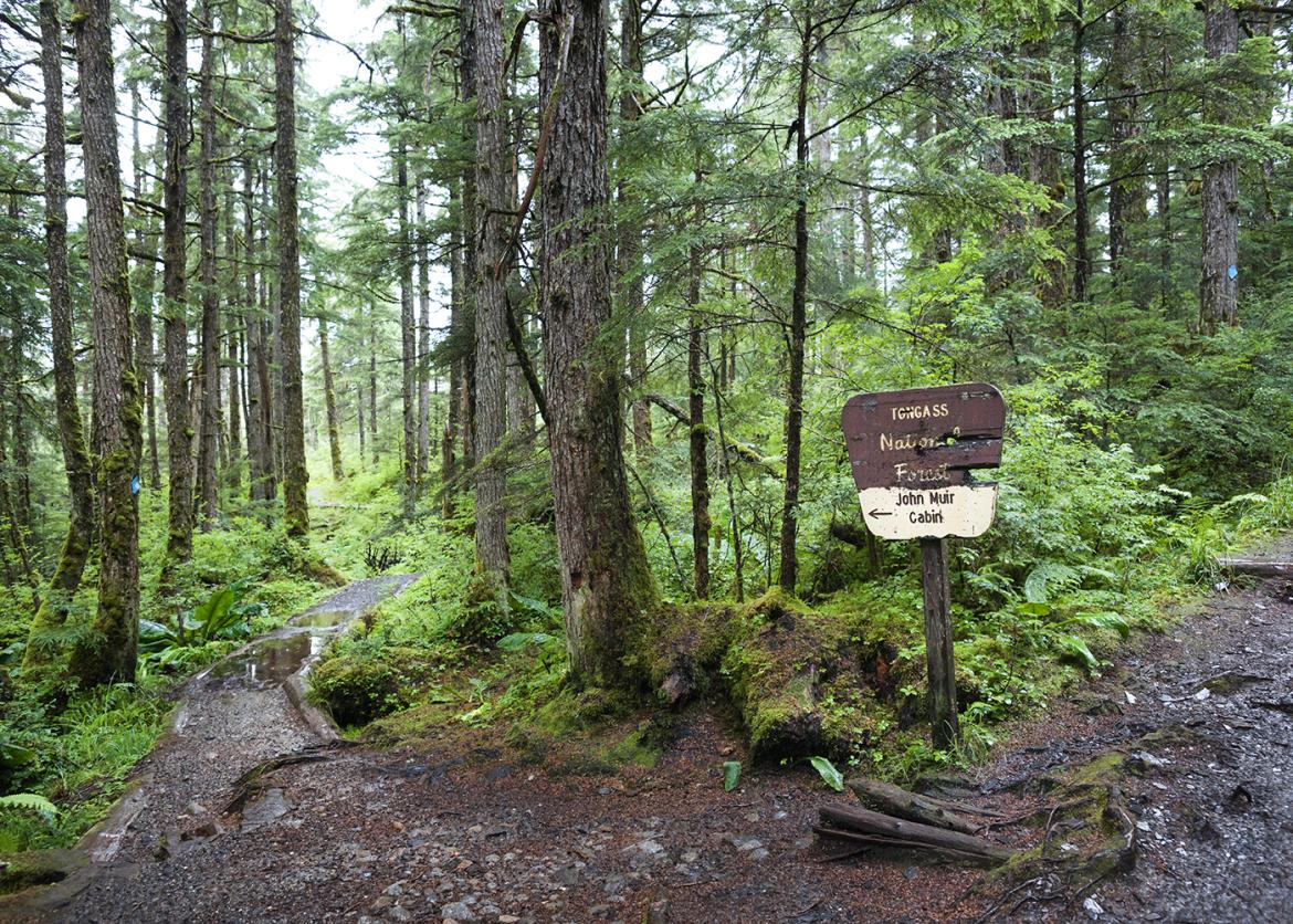 Tongass National Park trail sign along a forested trail