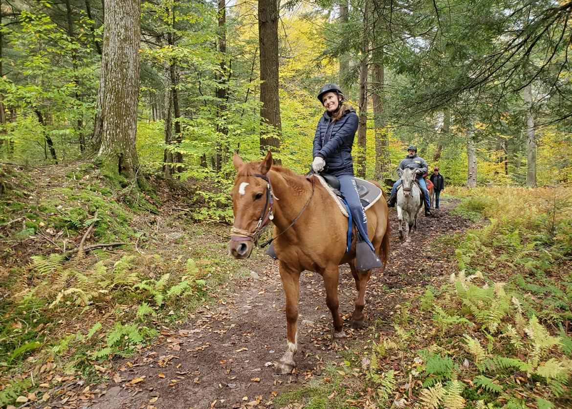 Trip participants horseback riding through a forest