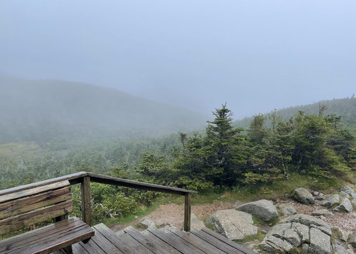 A resting area with a bench and stairs going down the trail with a foggy view.