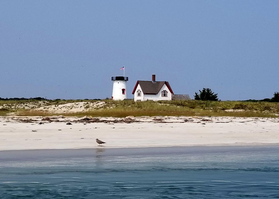 A coastal home on a beach. A sand piper runs near the waves.