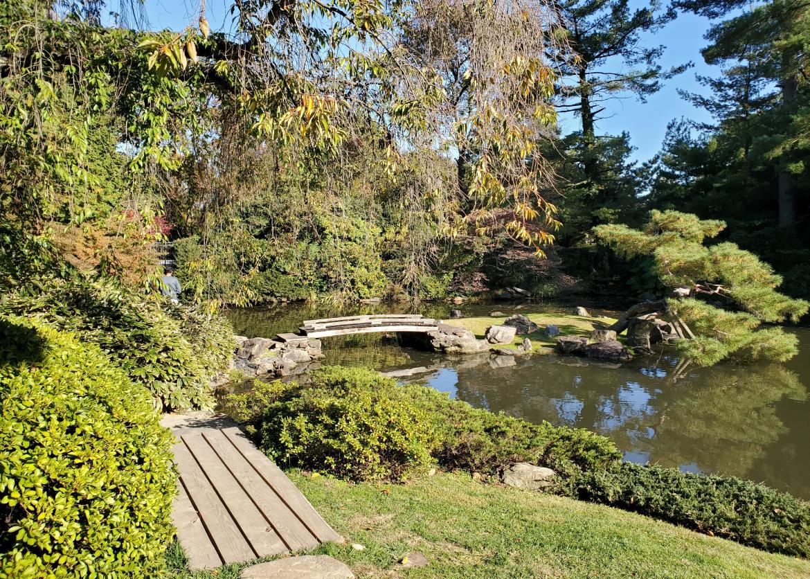 A park garden pond.
