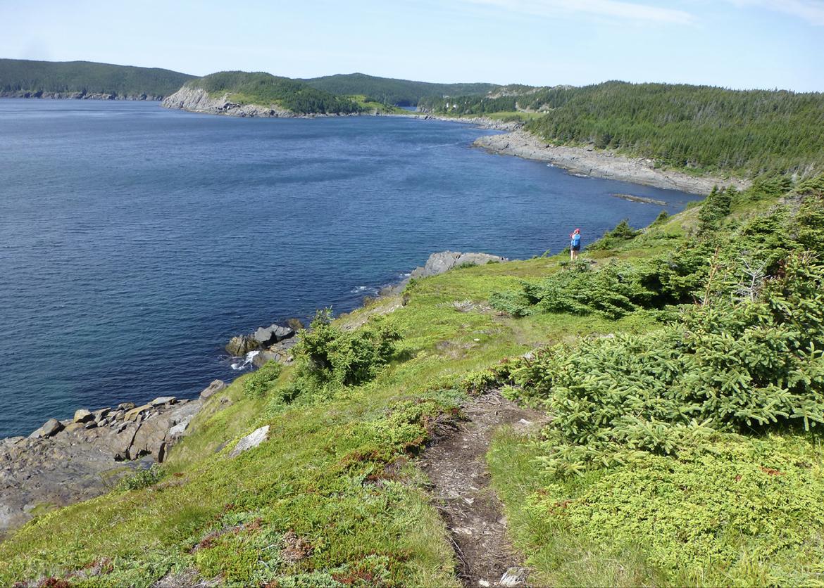 Newfoundland coast