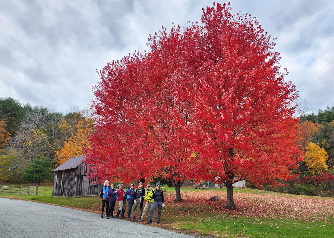 Trip participants pose next to a vibrant red maple tree in autumn