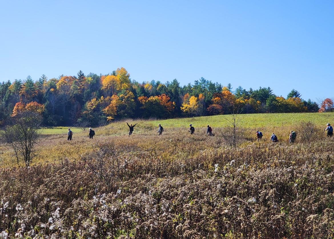 Hikers trek through field, with autumn foliage in background