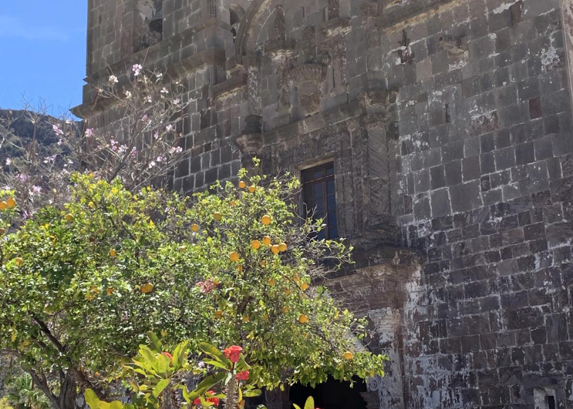 An old stone building next to a fruit tree and cactus.