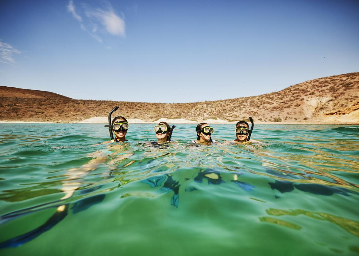 Four people wearing snorkels swim in green water near a shrubby coastline.