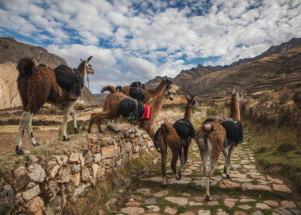 Pure Peru: The Great Inca Trail from the Sacred Valley to the Remote Cordillera Blanca