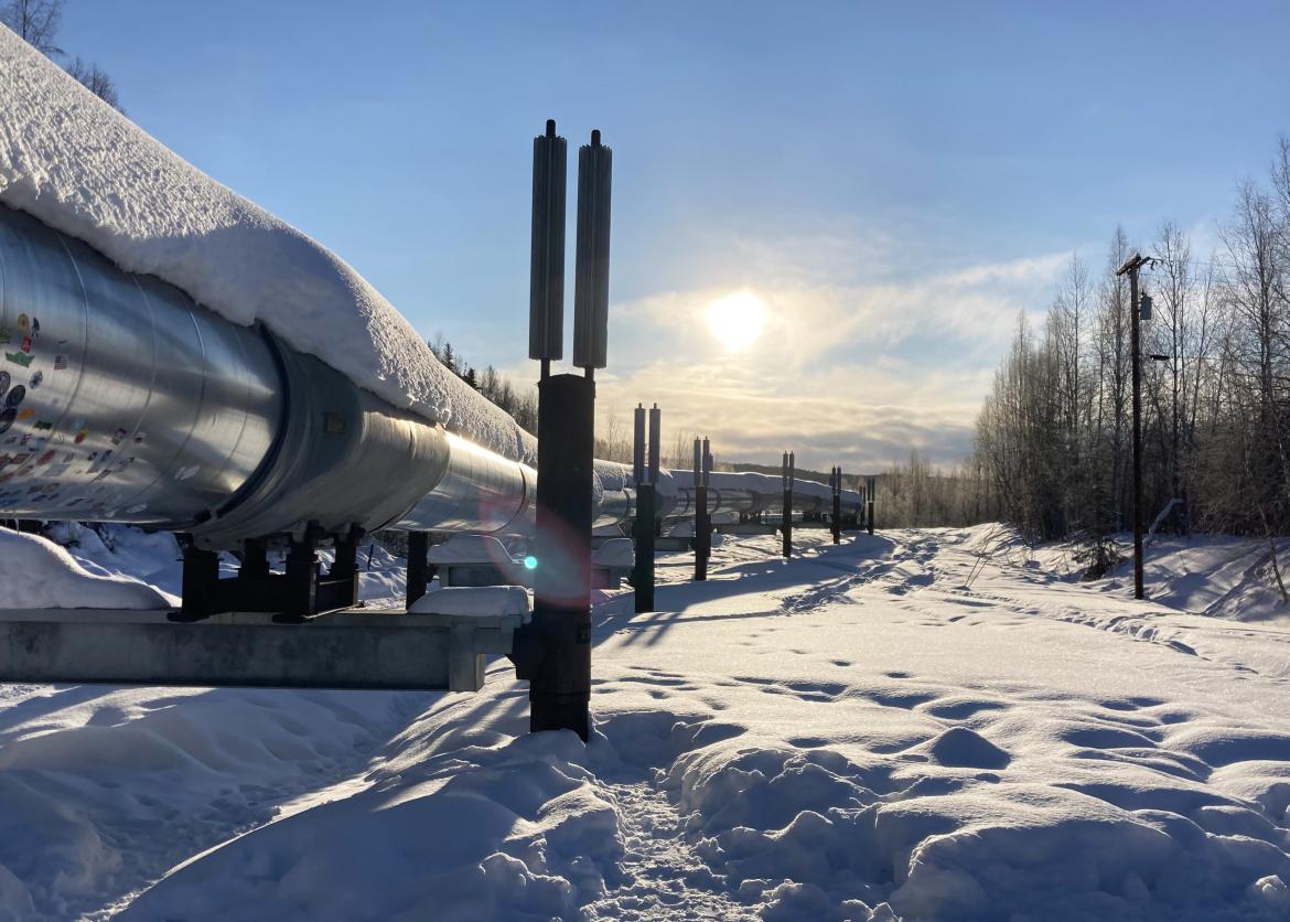 An oil pipeline runs over snowy ground brightly lit by the sun.