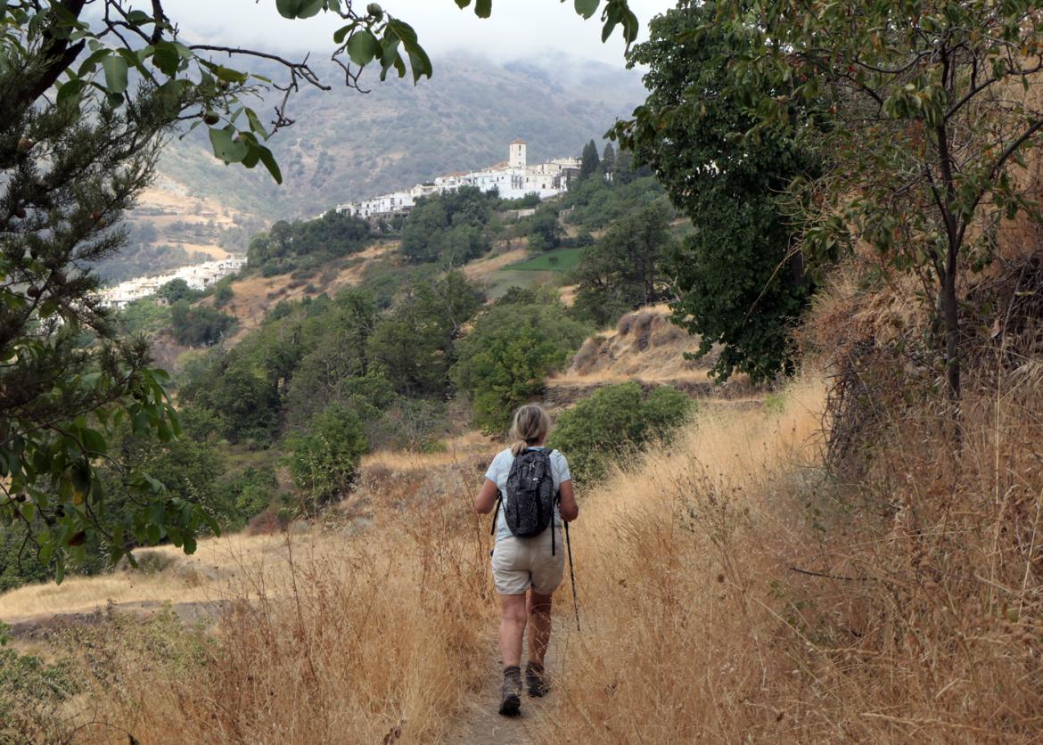 A person walks on a trail between dry grass, heading towards trees, a town of white buildings, and a fog covered hillside.