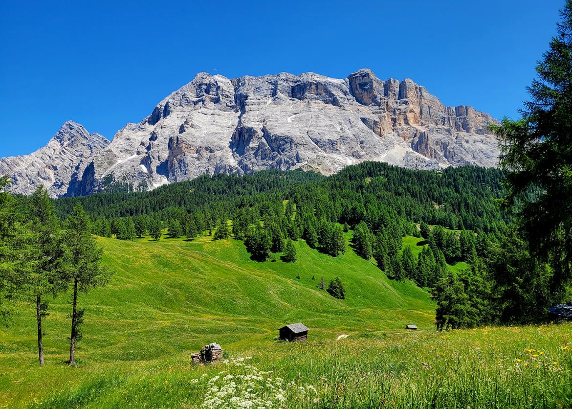 Dolomite ridgeline against a blue sky, with green field and trees in the foreground