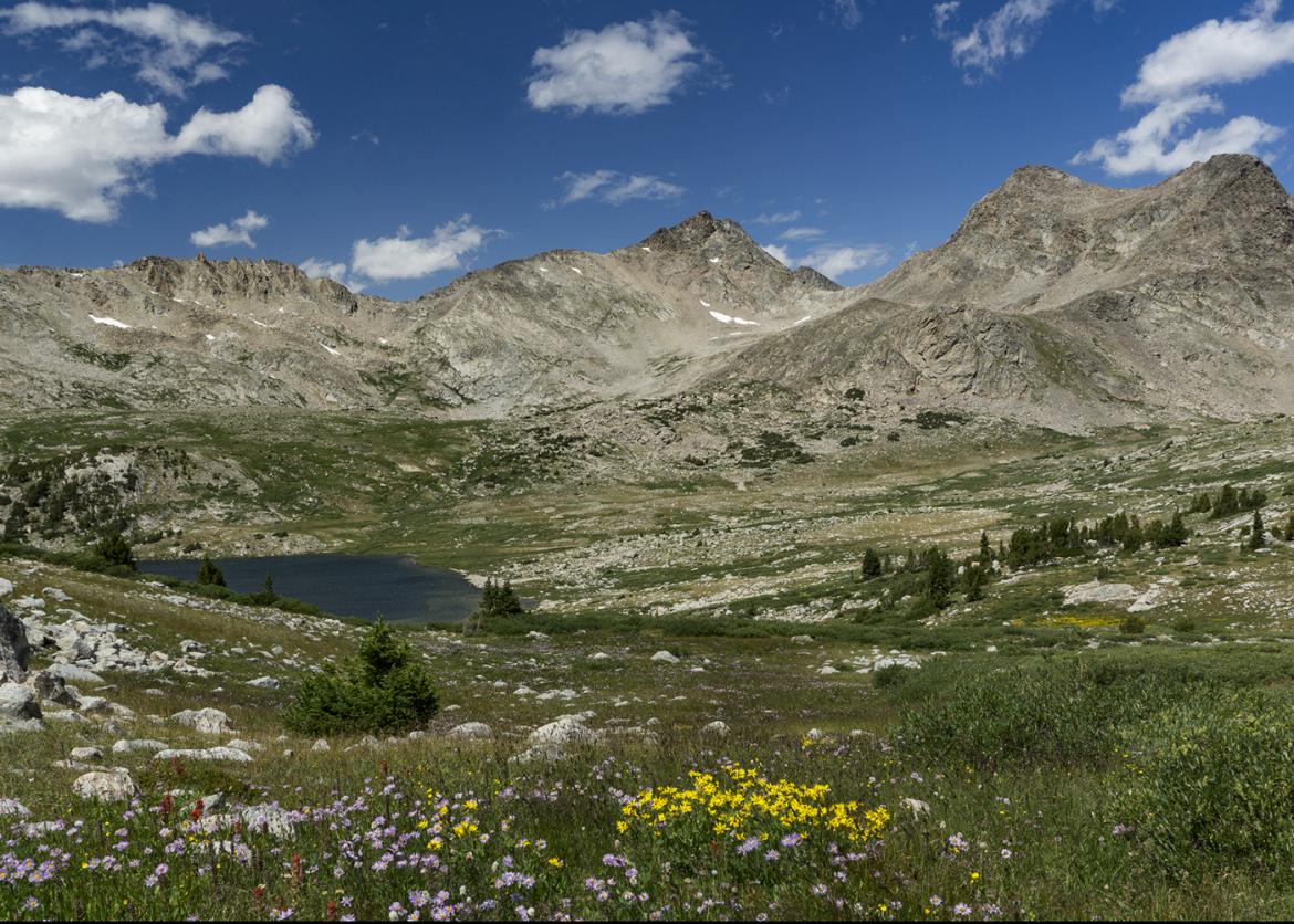 Meadow with wildflowers, blue lake, and mountains in the background.