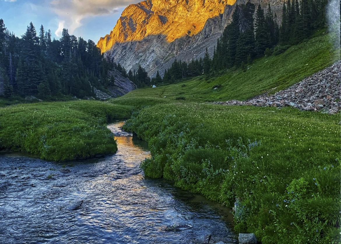 River, green grass, and evergreen trees in front of mountains.