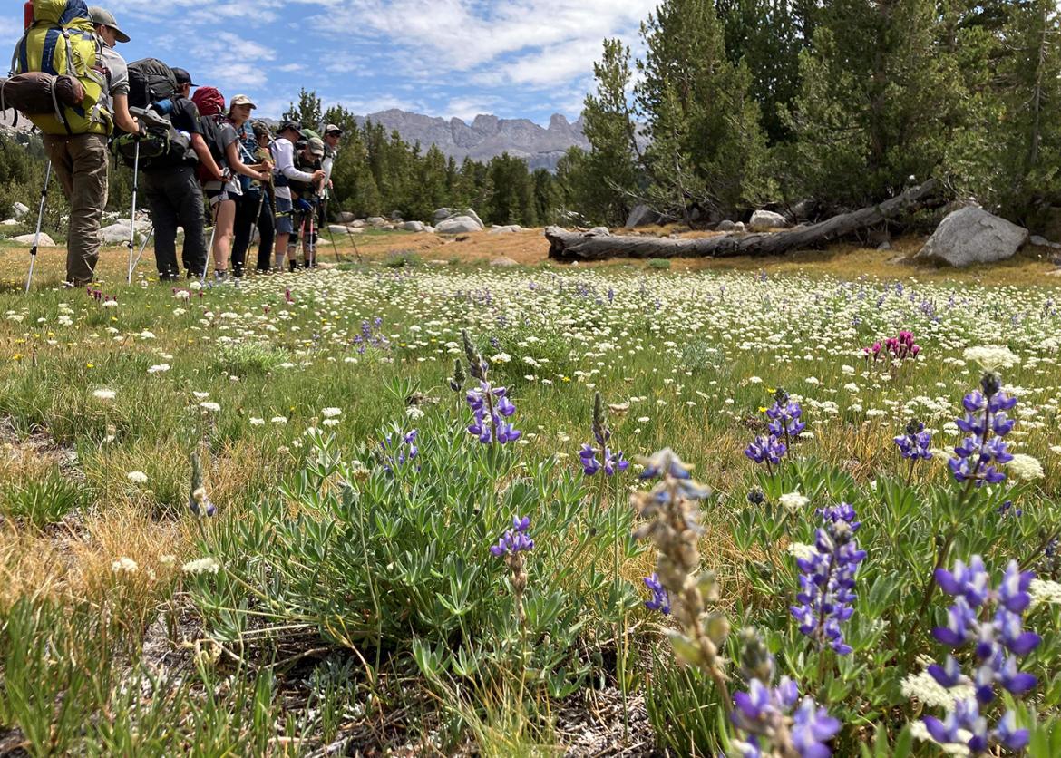 Trip participants backpacking in upper left corner, with meadow and purple wildflowers in the foreground