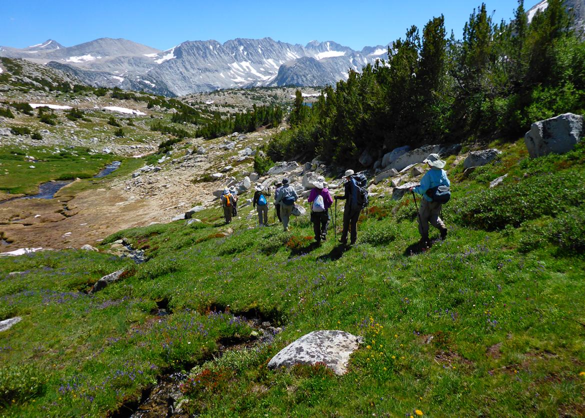 Trip participants hiking on mountain trail