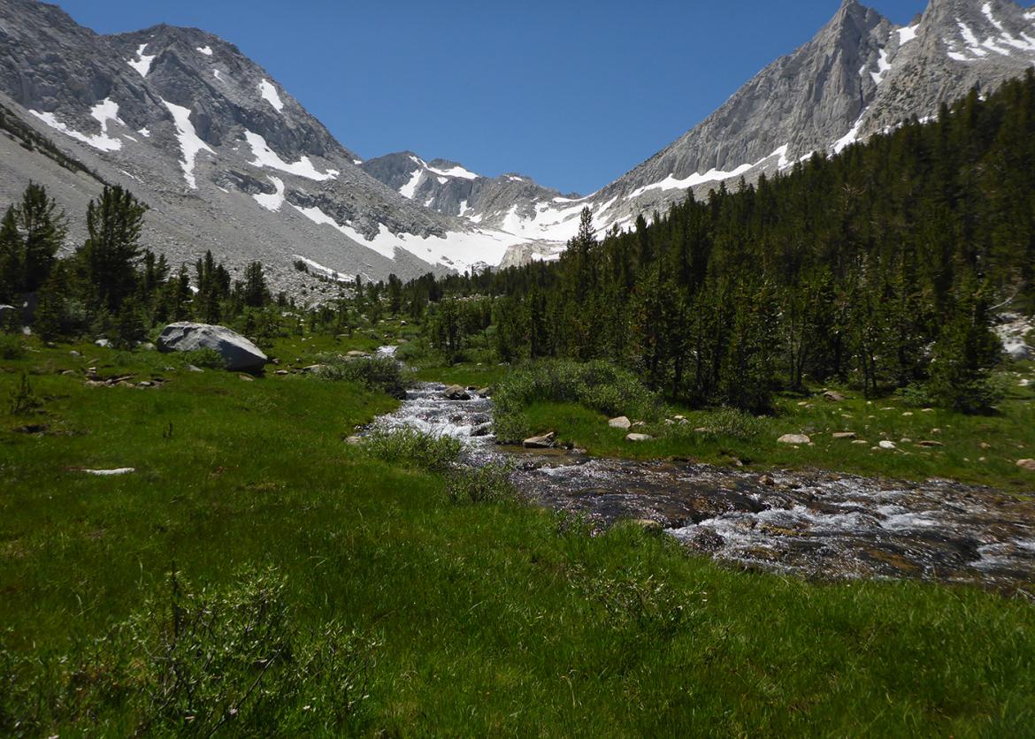 River cutting through green grass and evergreen forest, surrounded by snow-capped mountains