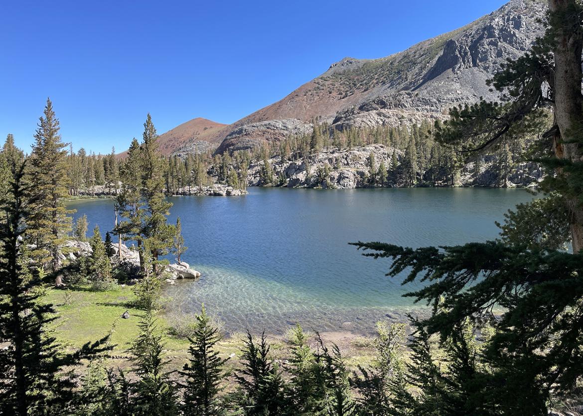 View of a blue lake surrounded by evergreen trees with a Sierra mountain rising in the background