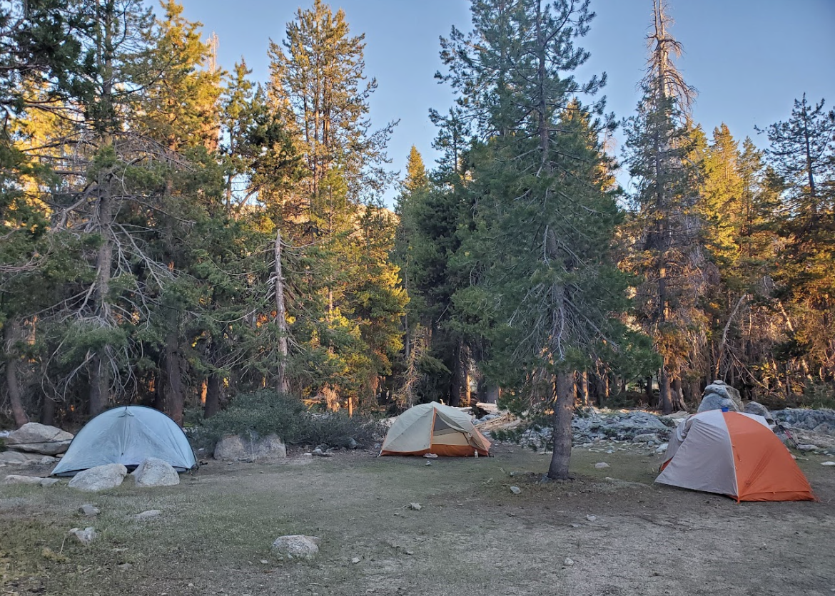 A campground with several orange tents and trees in the background