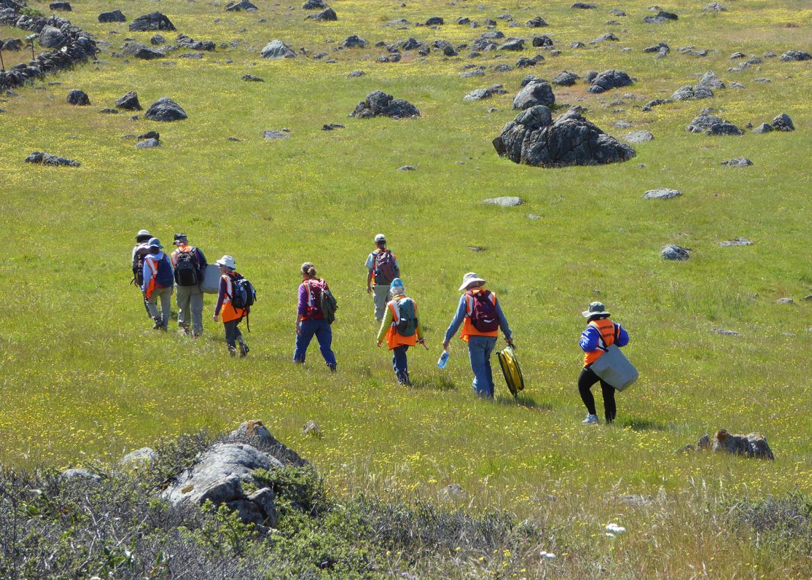 A group of people walking in the fields.