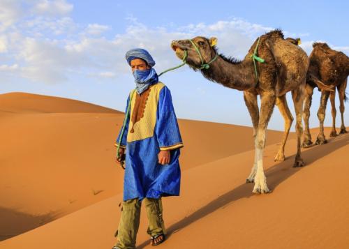 Berber man and camels in the Sahara Desert, Morocco